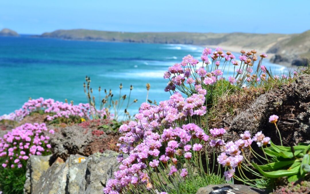 Experience Cornwall Tours