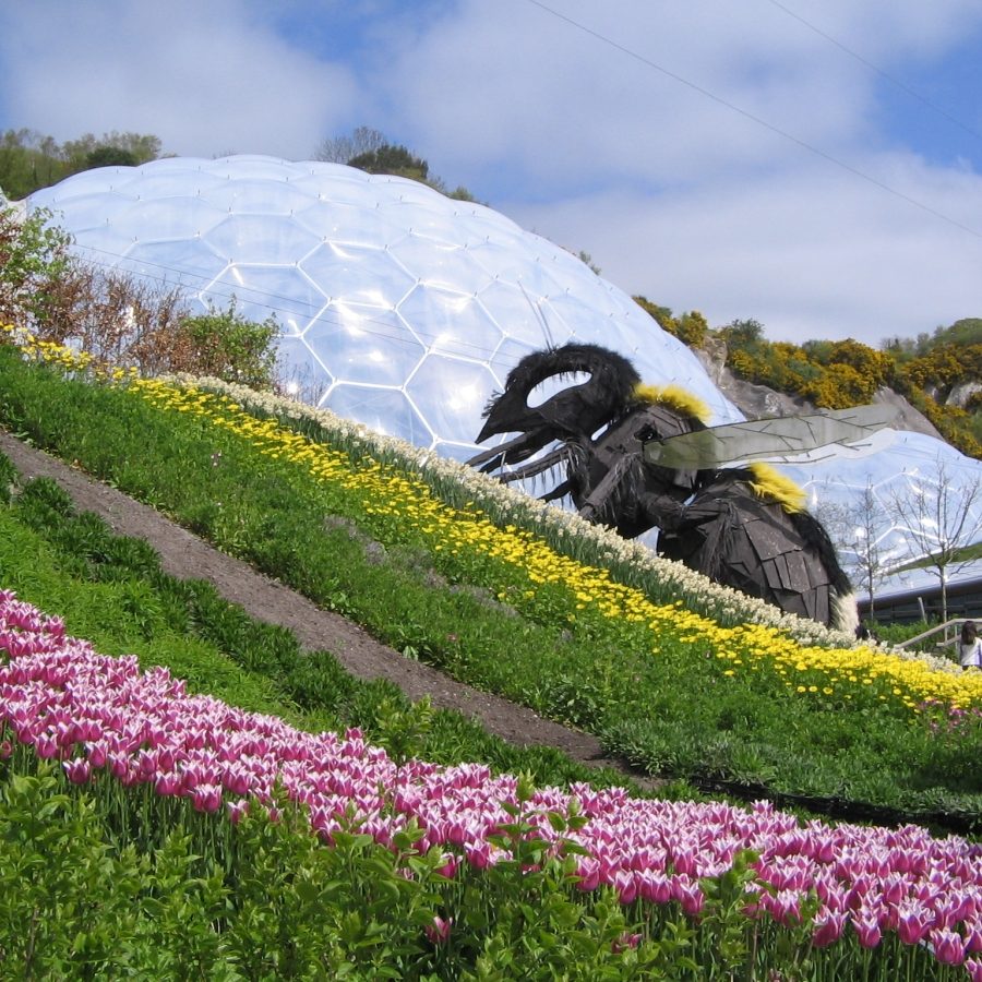 dog-friendly-days-out-eden-project
