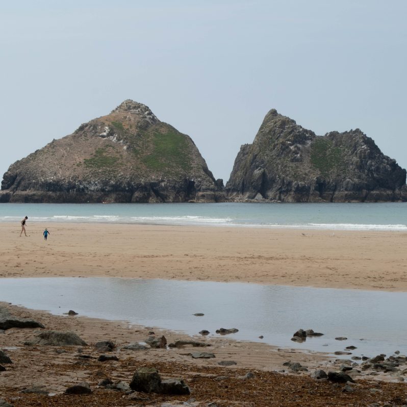 dog-friendly-days-out-holywell-bay