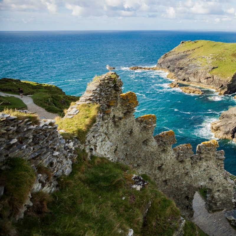 dog-friendly-days-out-tintagel-castle