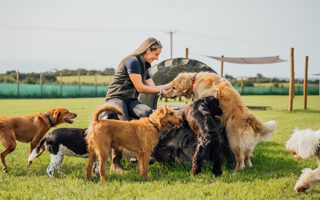 Kentwone Dogs
